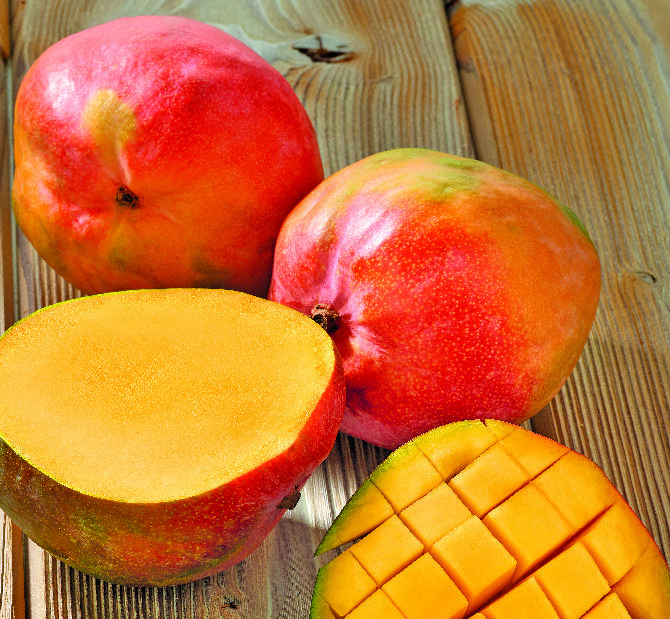 MANGUE 3614705866730 