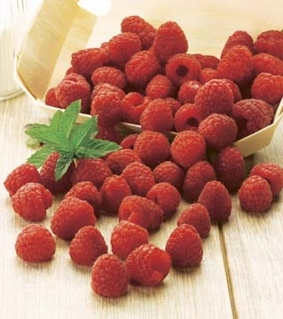 FRAMBOISE 3614706721304 