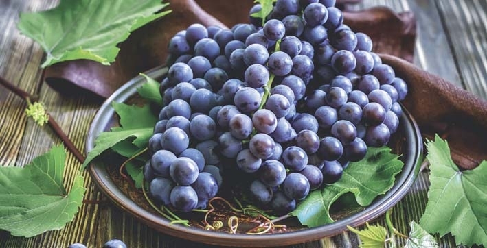  RAISIN code EAN 3614706769443 