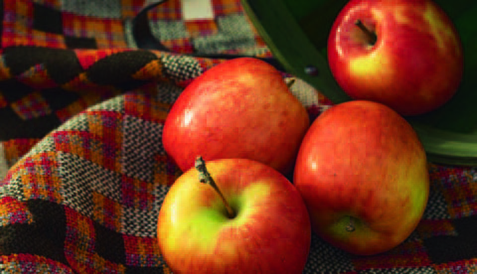  POMME JAZZ code EAN 3614706819872 