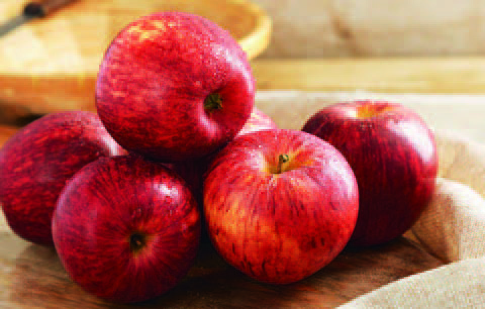 POMME GALA 3614706819902 