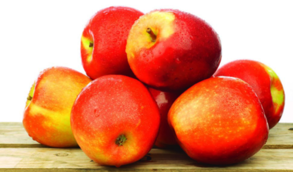  POMME JAZZ code EAN 3614706853678 