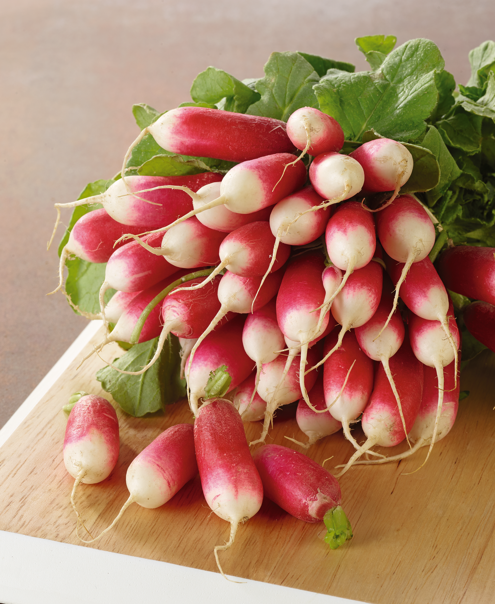  Radis rose code EAN 3614707078964 