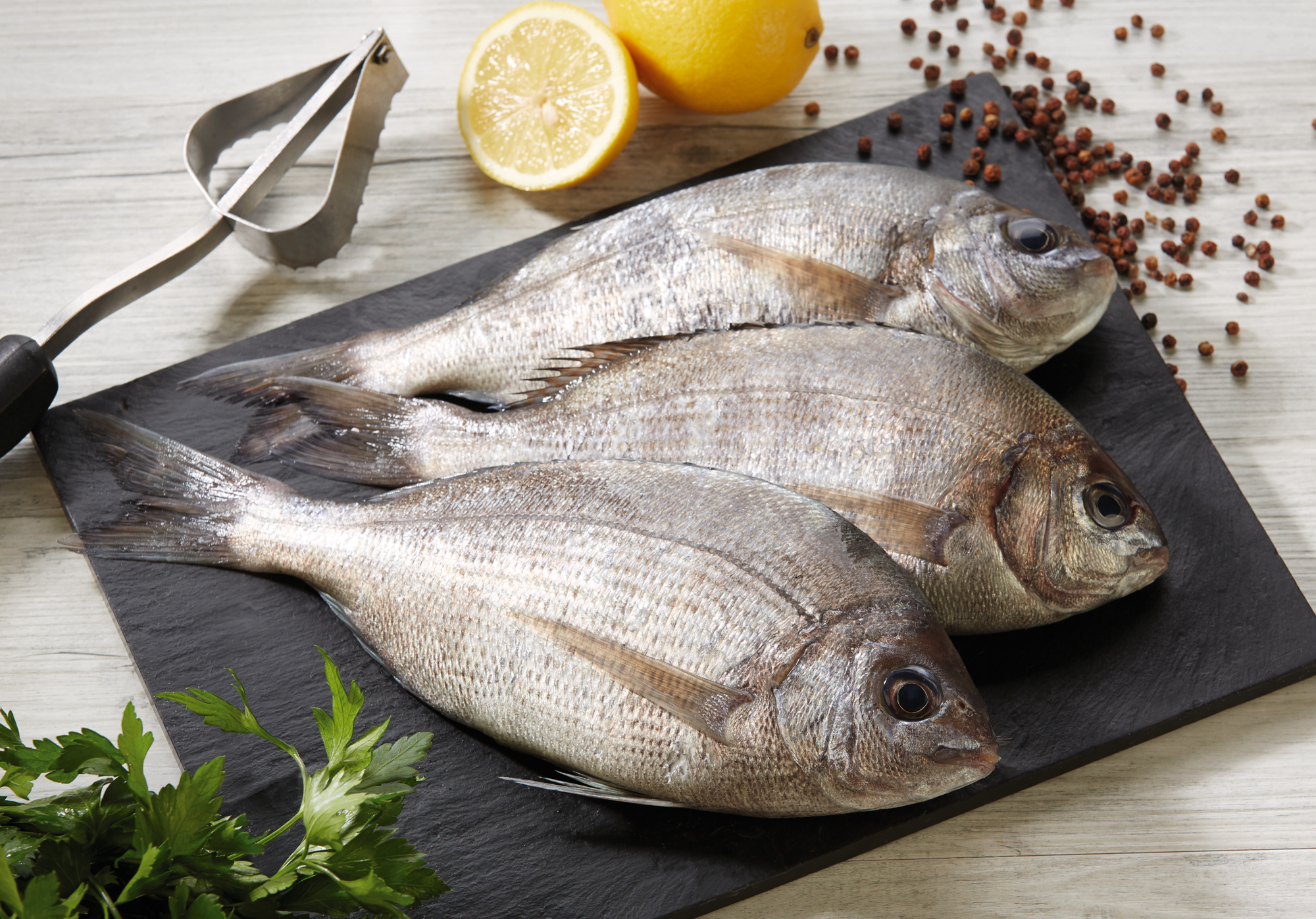  Dorade grise code EAN 3614707079183 