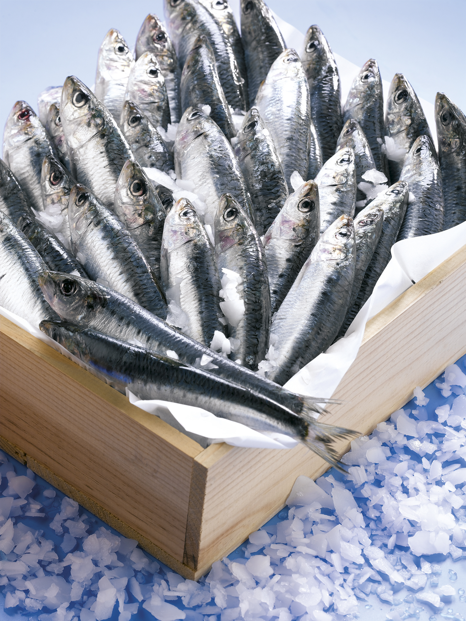  Sardine code EAN 3614707079695 