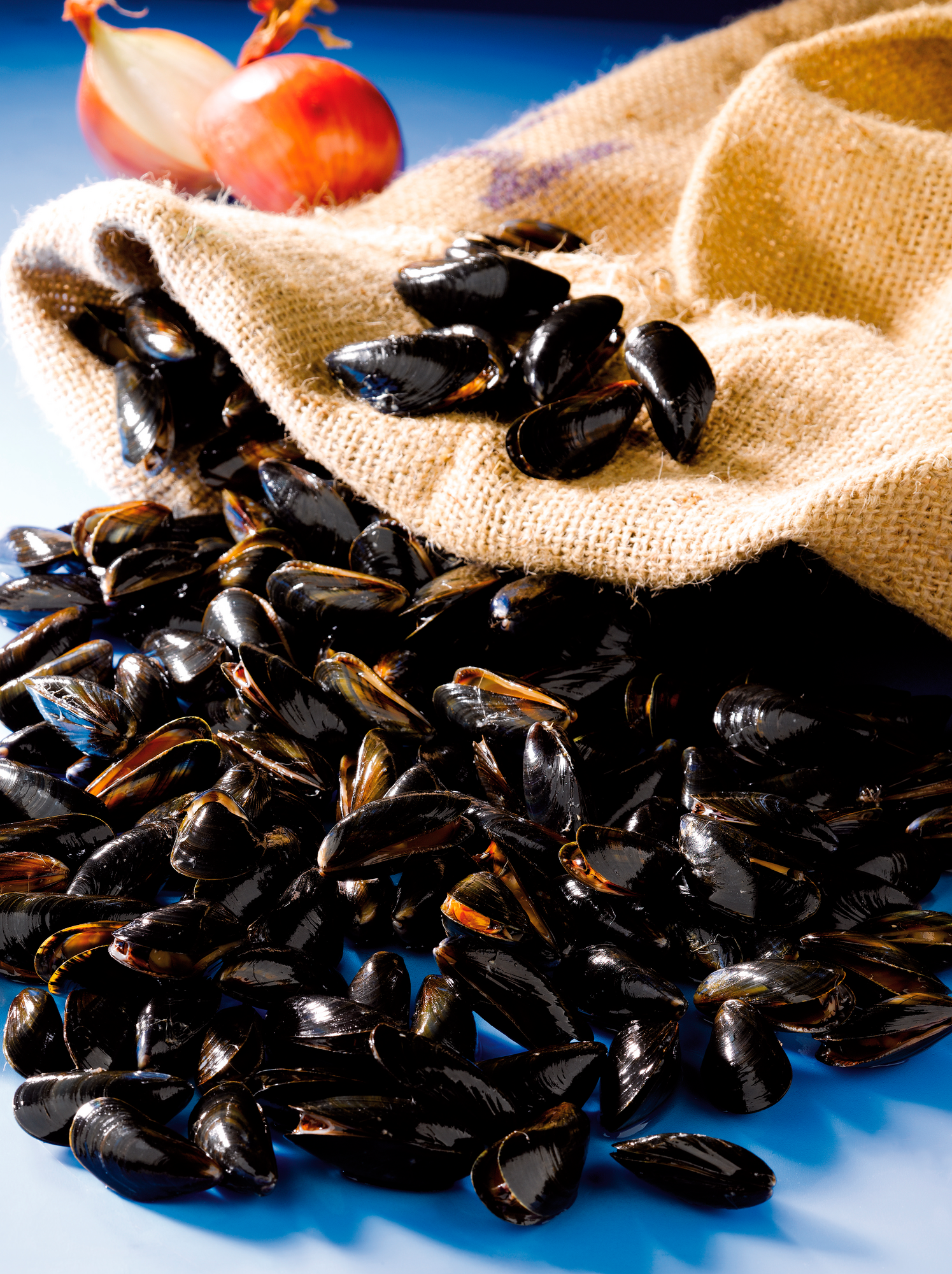  Moules de bouchot code EAN 3614707079800 