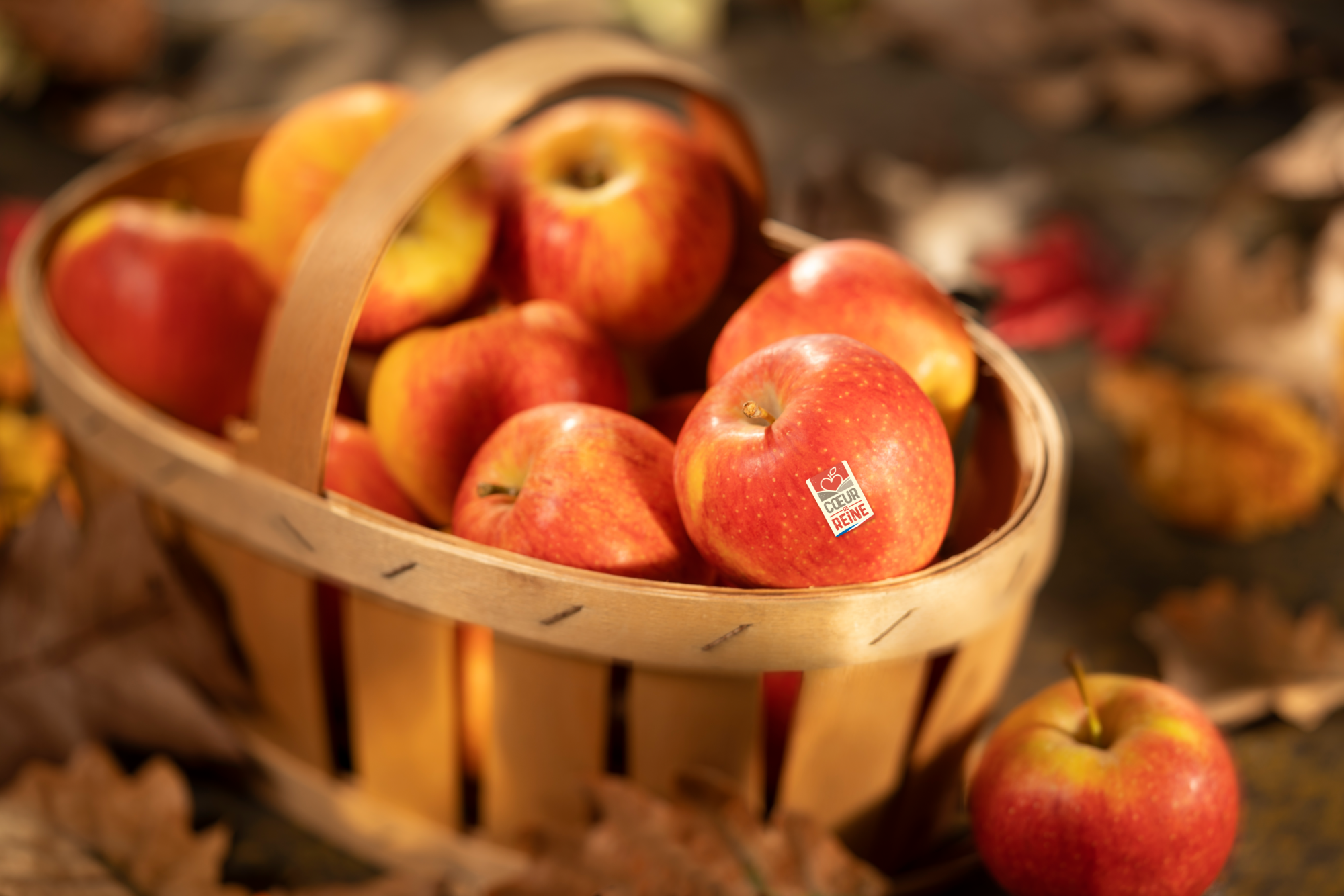  Pomme cœur de reine code EAN 3614707080462 