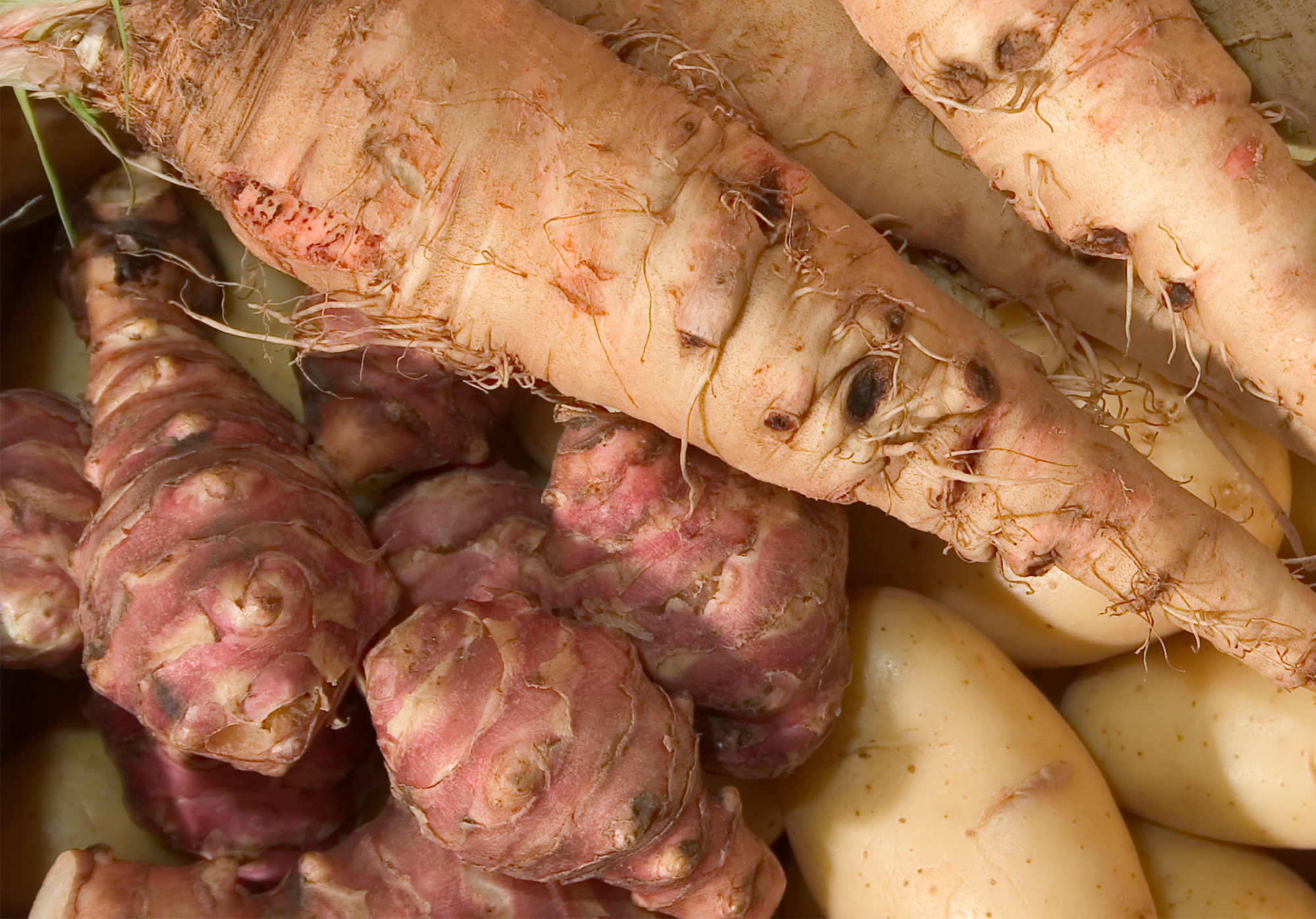  Panais ou topinambour code EAN 3614707080547 