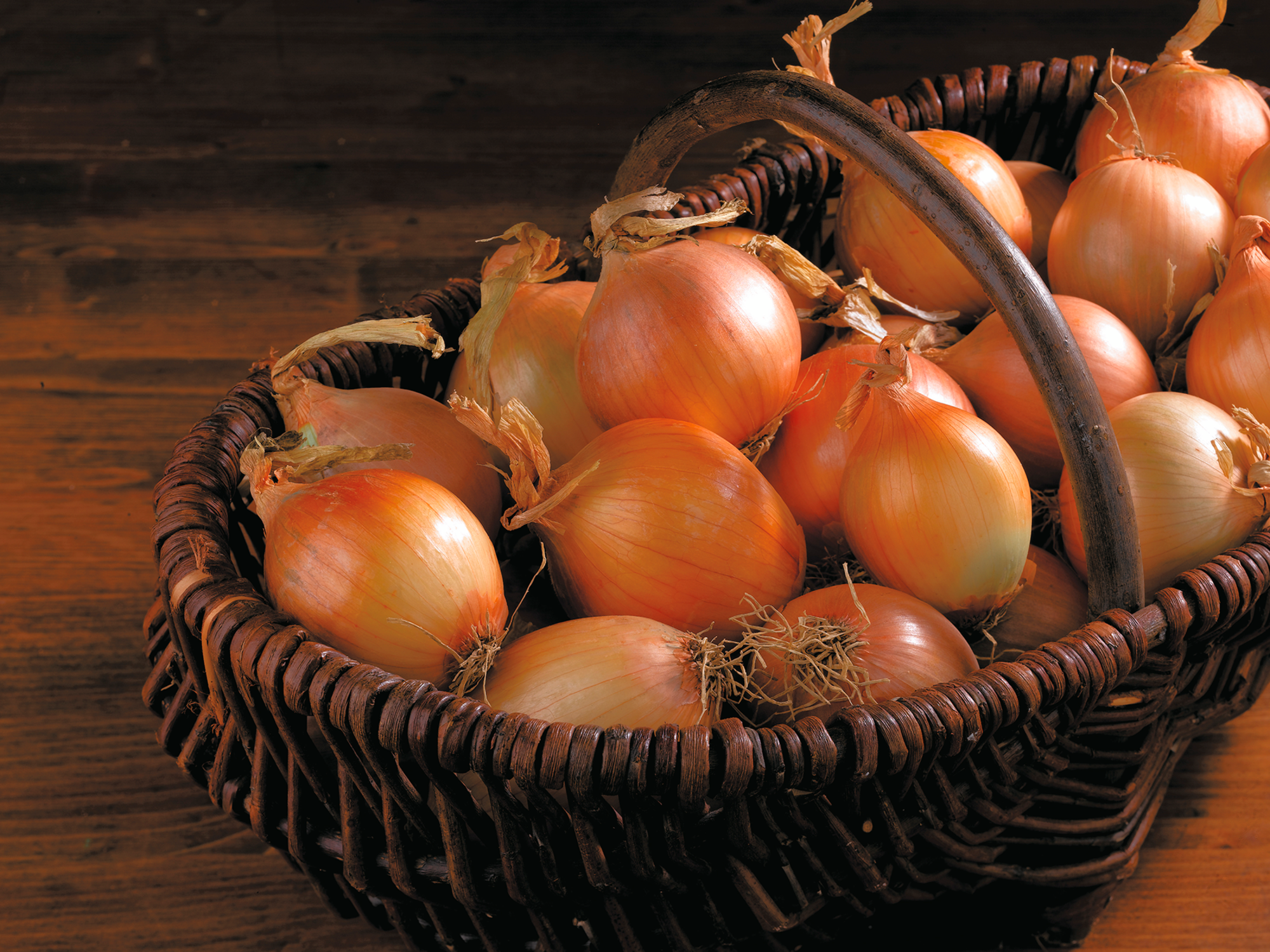  Oignon jaune code EAN 3614707080707 