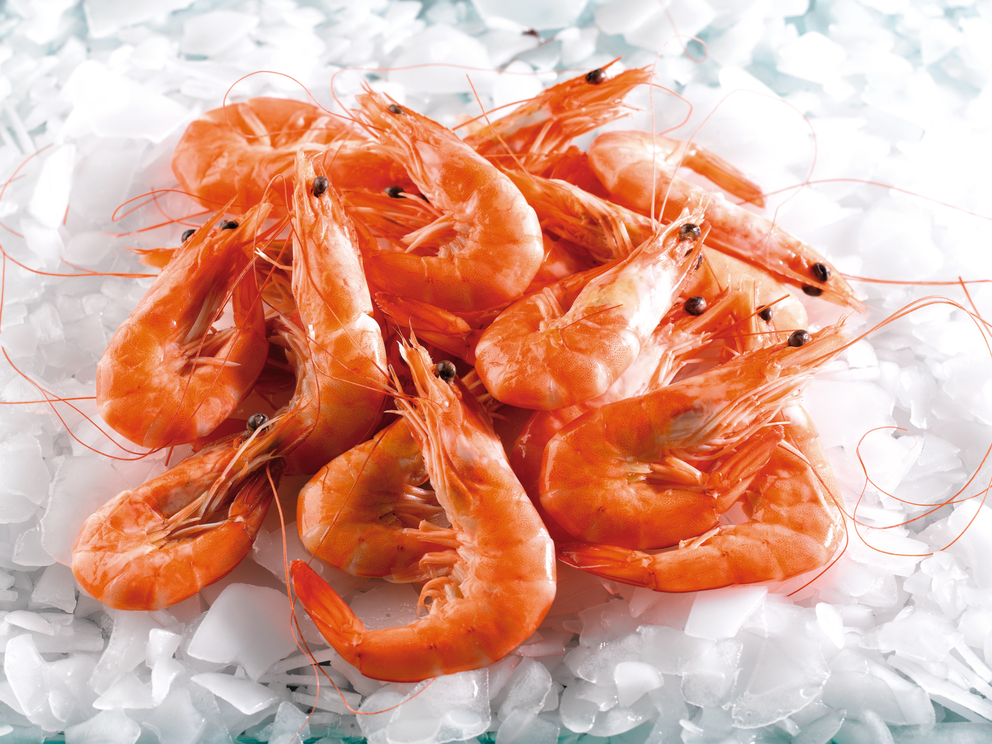  Crevettes sauvages cuites code EAN 3614707080943 