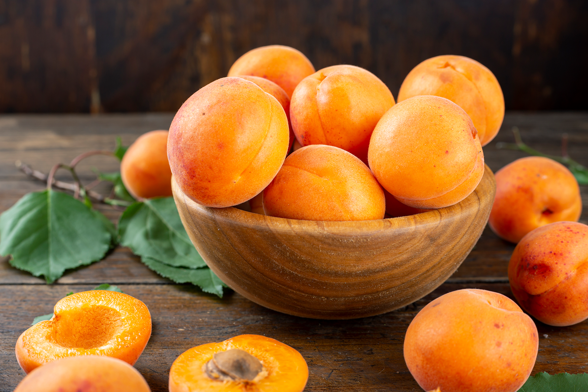  Abricot code EAN 3614707081049 