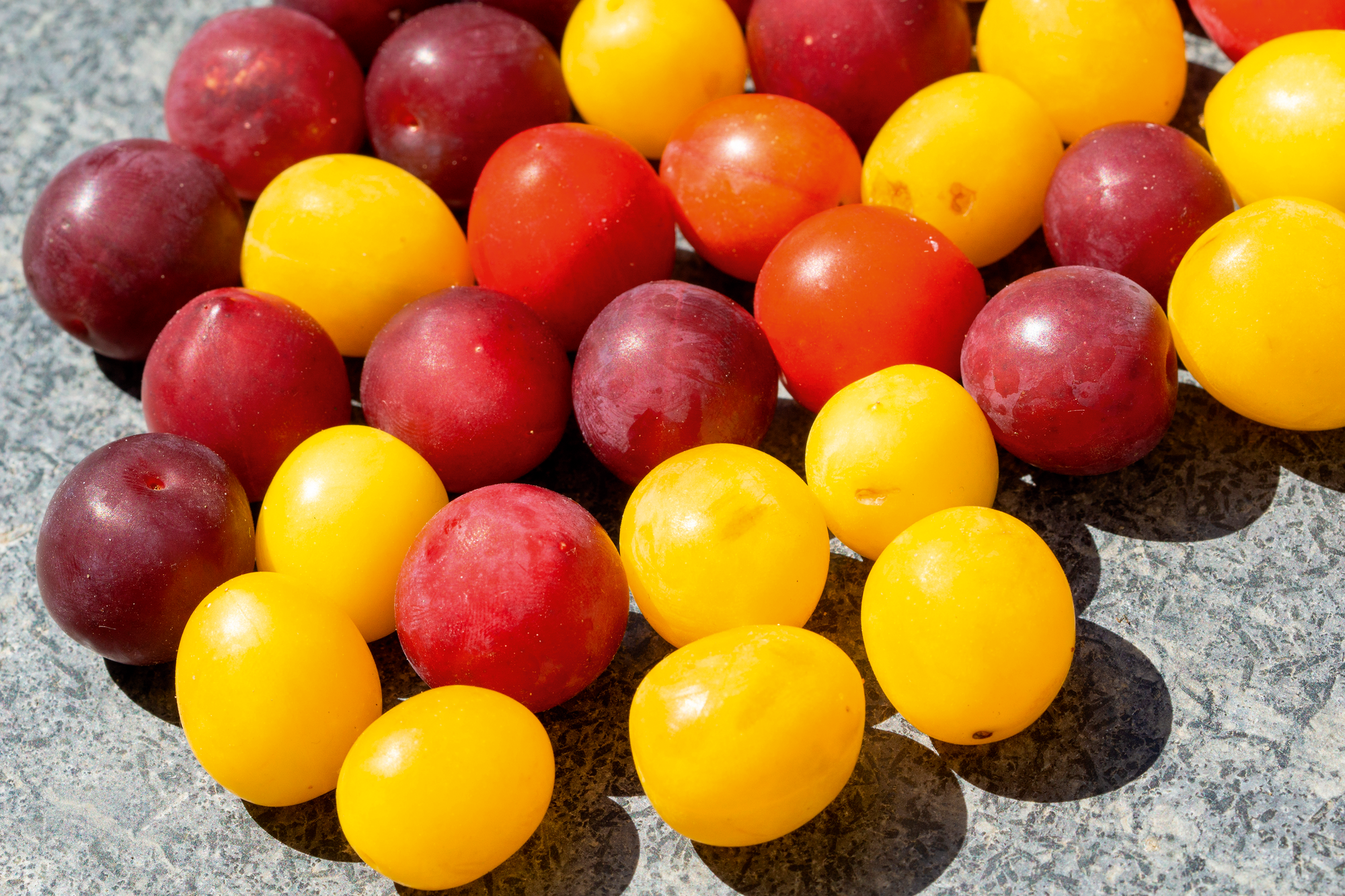  Prune rouge ou jaune code EAN 3614707081261 