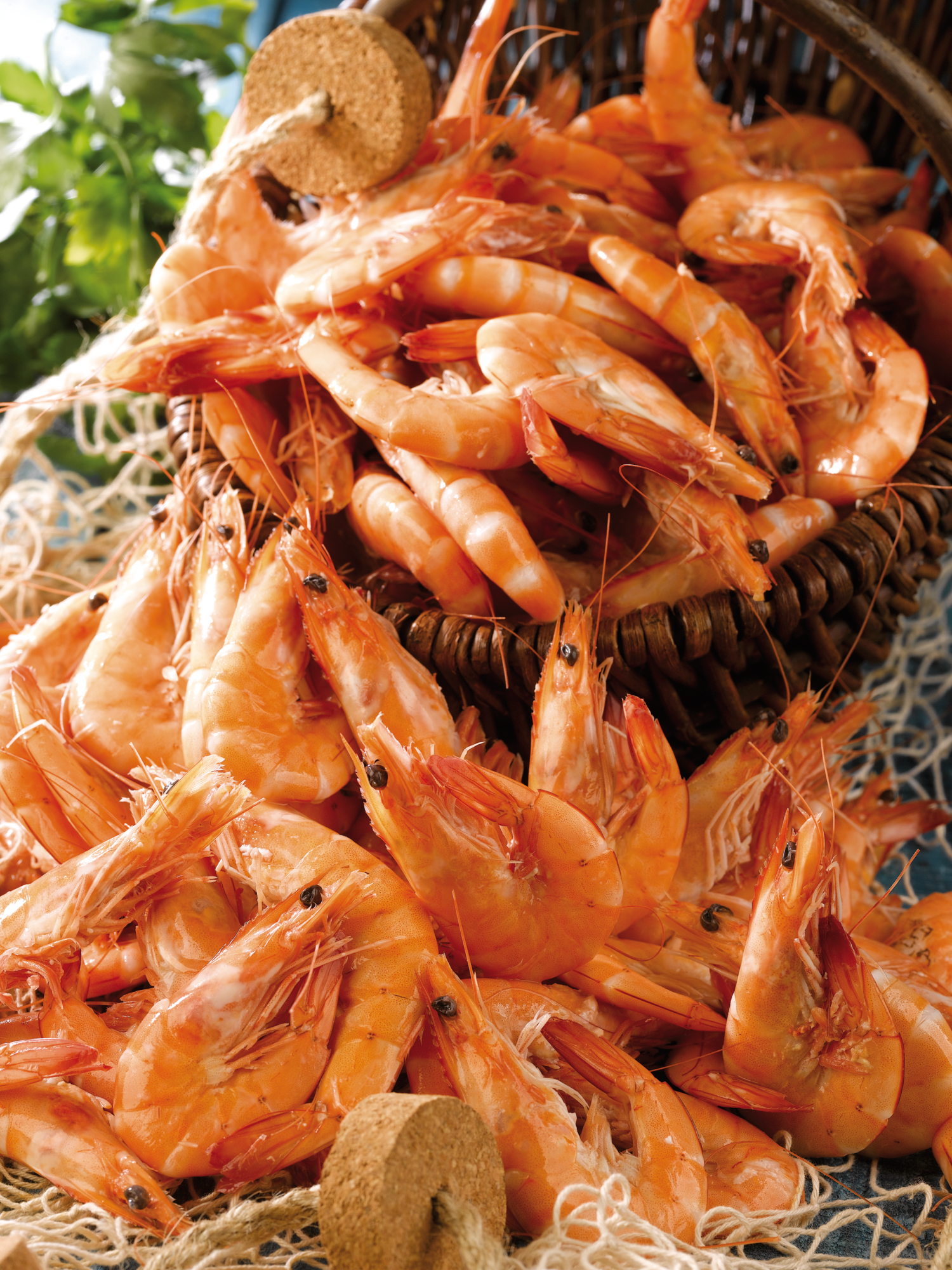  Crevettes cuites code EAN 3614707081667 