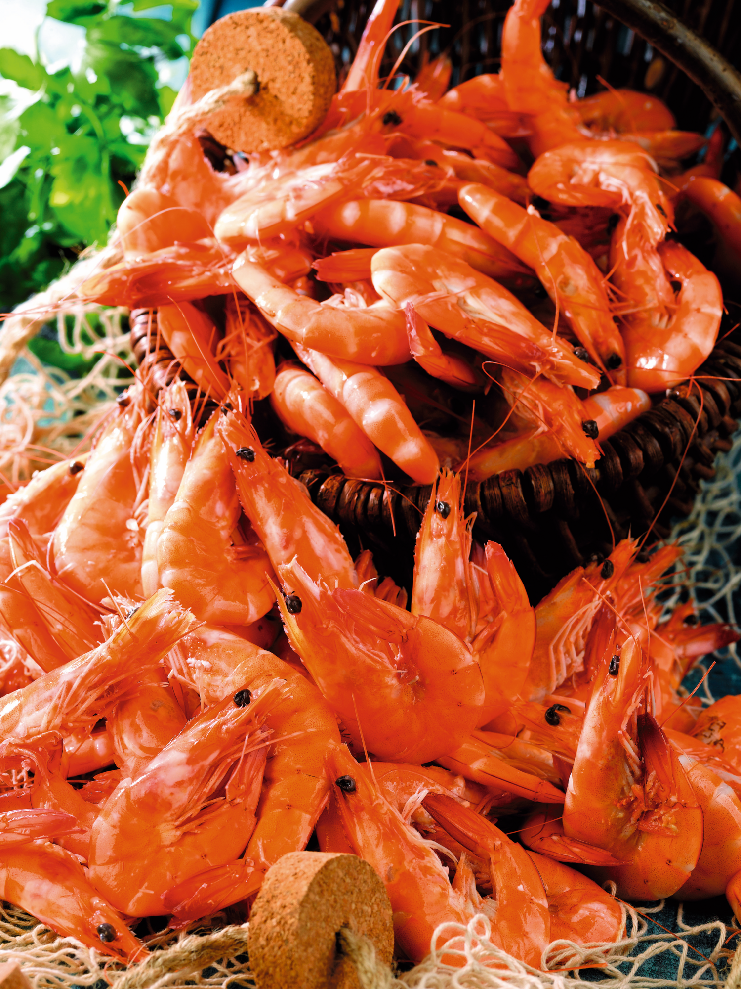  Crevettes cuites ASC code EAN 3614707081780 