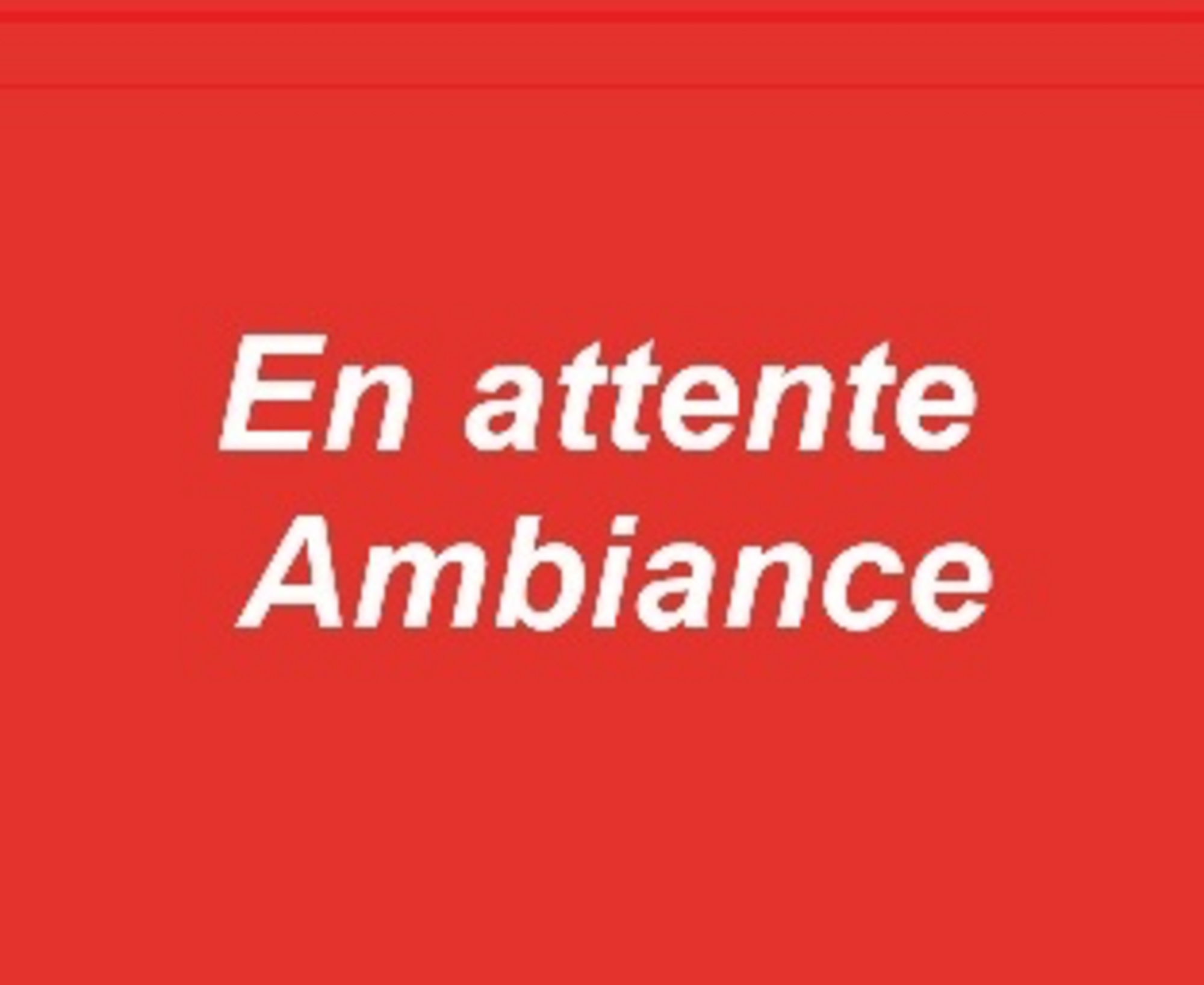 MAILLOT DE BAIN 2 PIECES 