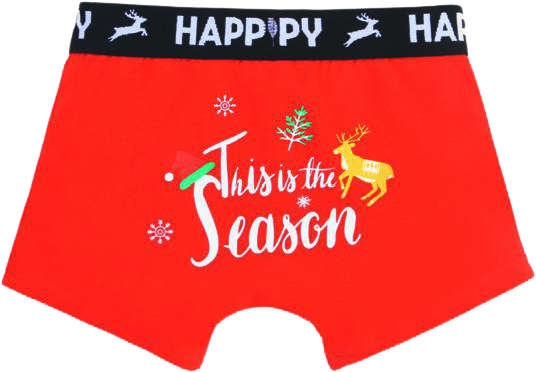 LOT DE 3 BOXERS GARÇON BIO “TISSAIA”