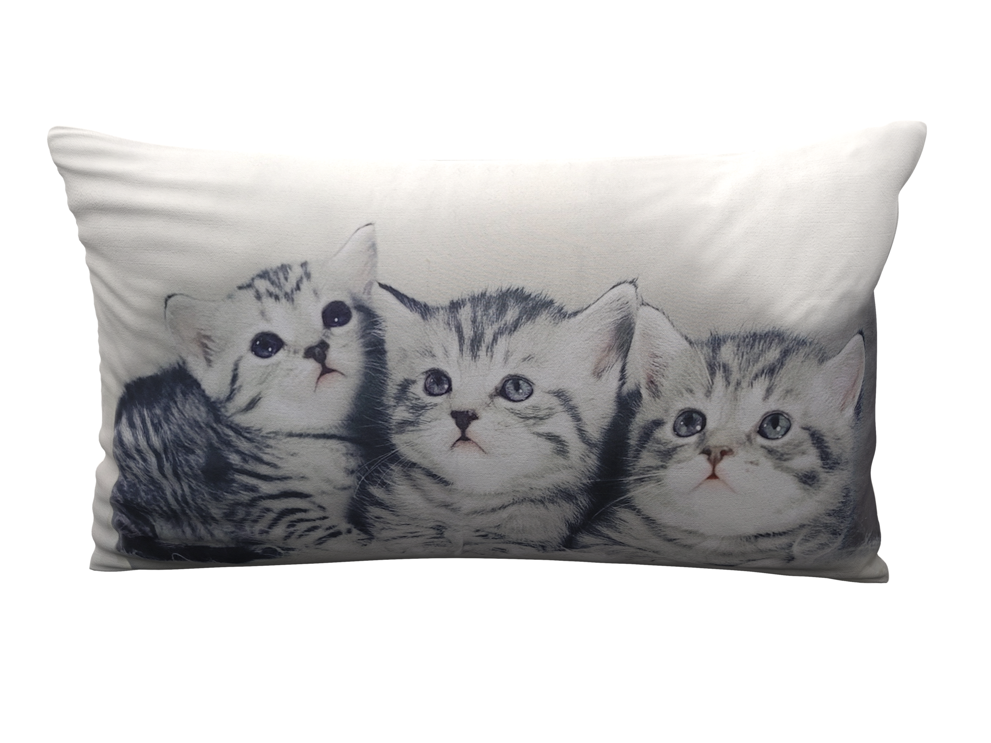 TISSAIA COUSSIN 30X50 CM OU 40X40 CM code EAN 3614709535052 