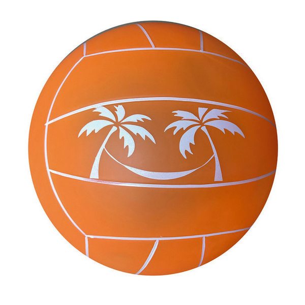 Ballon de volley 