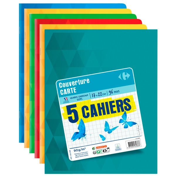 Lot de 5 cahiers