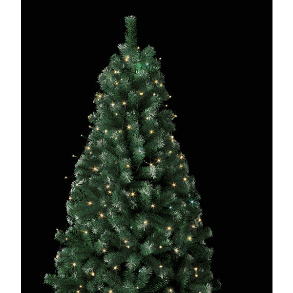 Ciel de sapin Led 3615004665109 (3615004665109)
