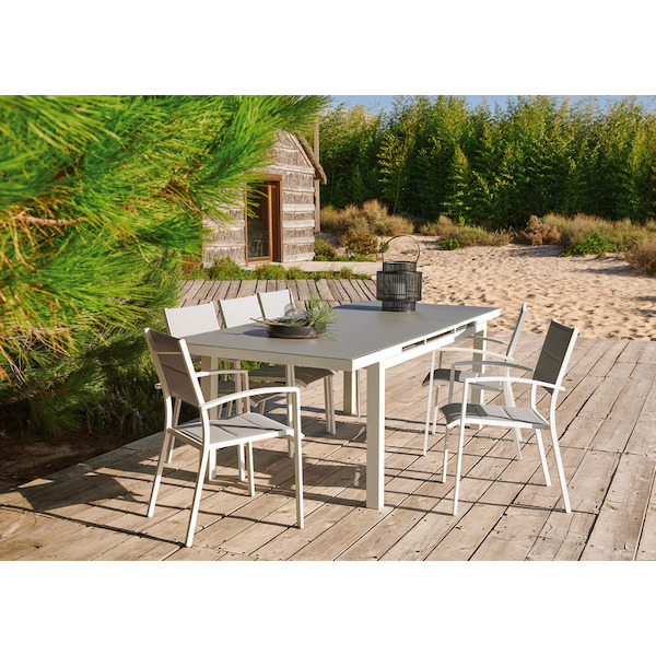 La table + 6 fauteuils