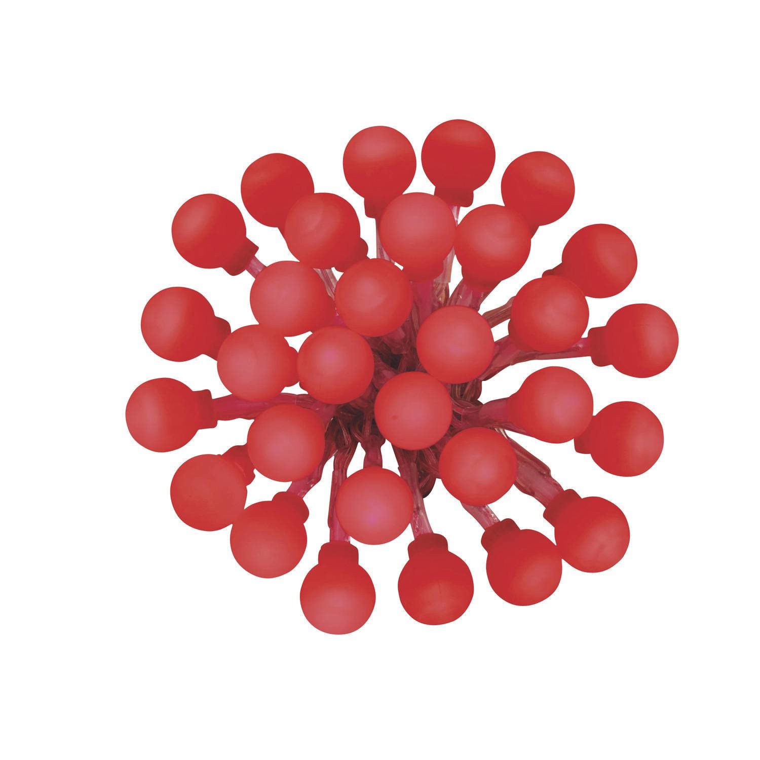 Guirlande de baies LED rouge (N°24) CARREFOUR