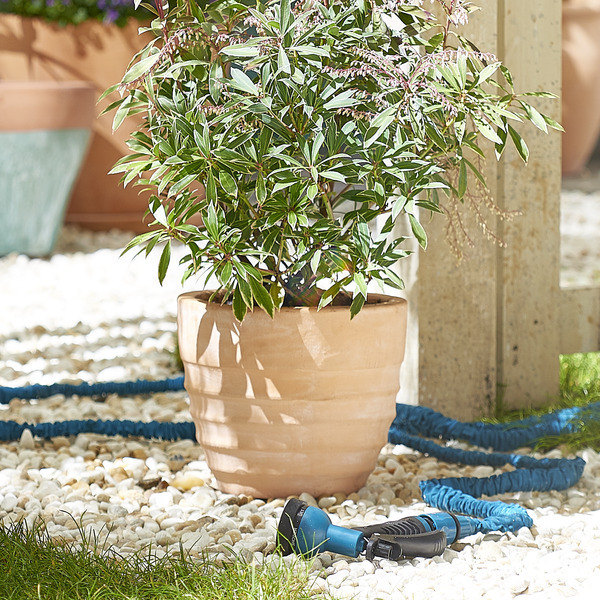  Pot Futuna terre cuite
 code EAN 3616473089489 