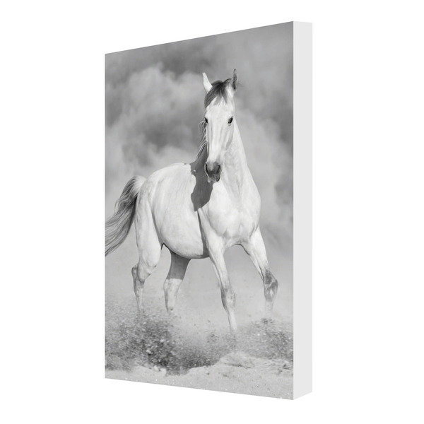  Agenda scolaire ANIMAUX DOMESTIQUES code EAN 3616473616227 