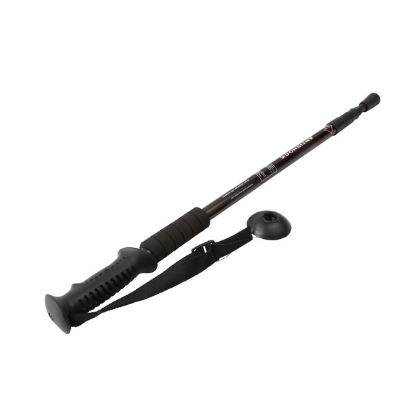 Bâton de marche télescopique