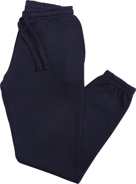 TEX Pantalon jogger homme code EAN 3616475239981 