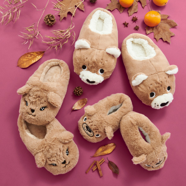  Chausson Enfant Ou Adulte Inextenso code EAN 3616742507140 