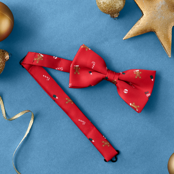  Noeud Papillon Homme Inextenso code EAN 3616742579475 