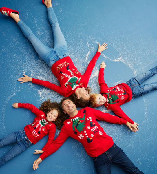  Pull Bébé, Enfant Ou Adulte Inextenso code EAN 3616742594669 