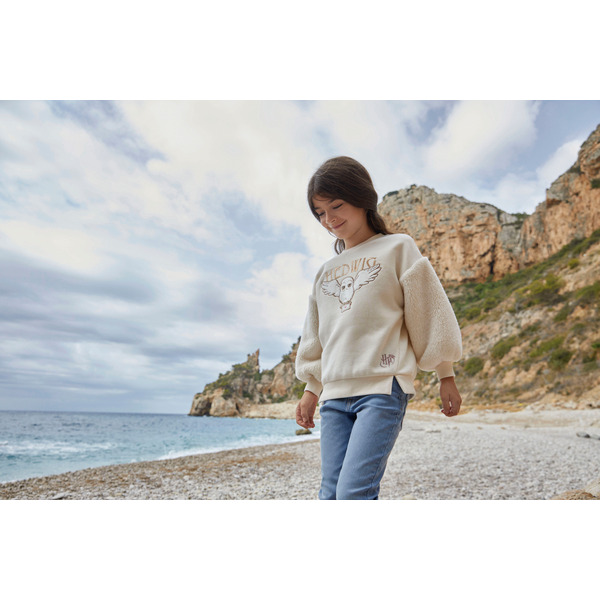 Sweat-shirt fille ou garçon 3616953215063 WARNER BROS