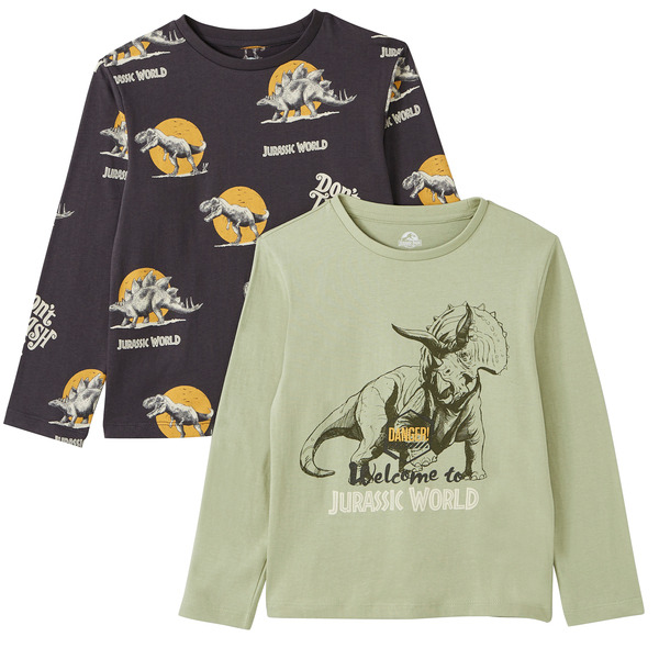 Lot de 2 t-shirts garçon