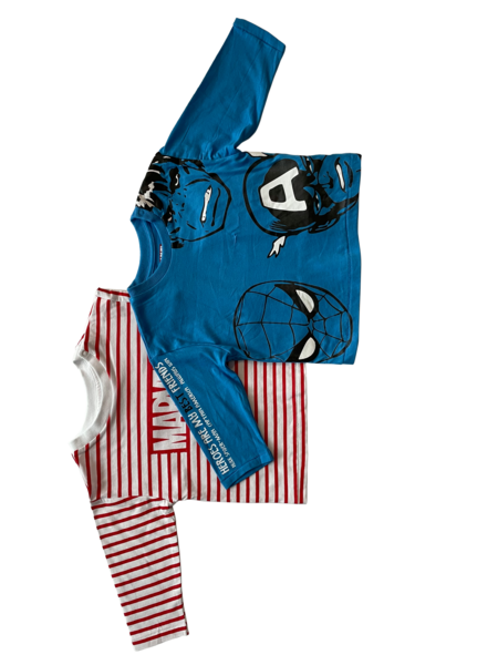 Lot de 2 t-shirts bébé