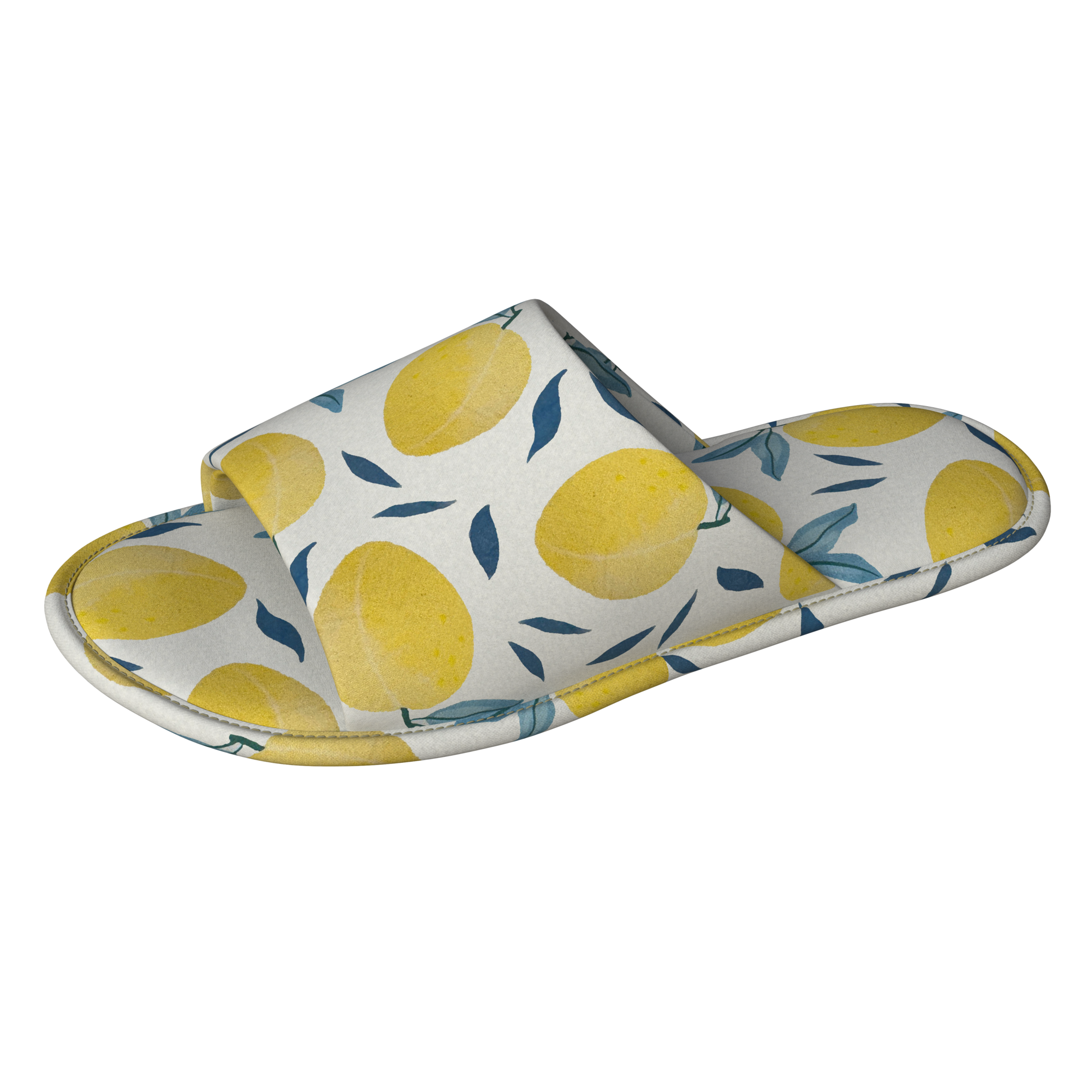 TISSAIA MULE FEMME code EAN 3617041266448 