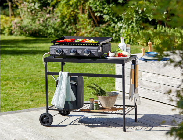  PLANCHA GAZ 3 BRULEURS  code EAN 3617090003865 