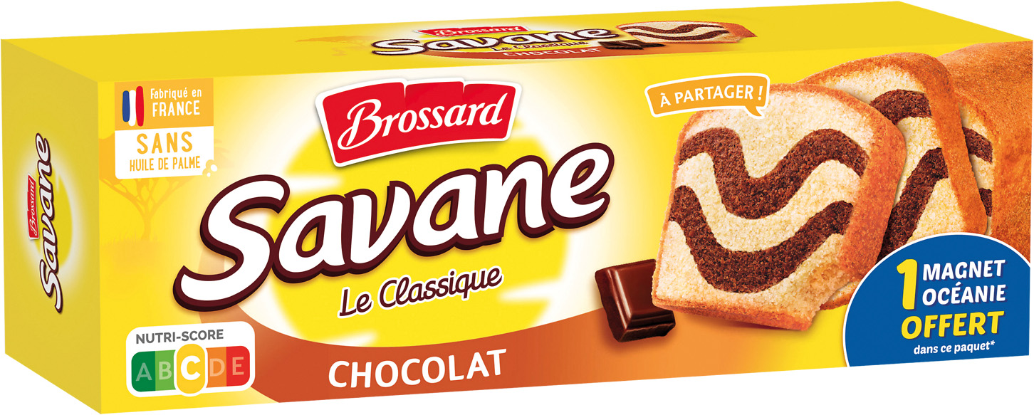  GATEAU MARBRE SAVANE BROSSARD code EAN 3660140948159 