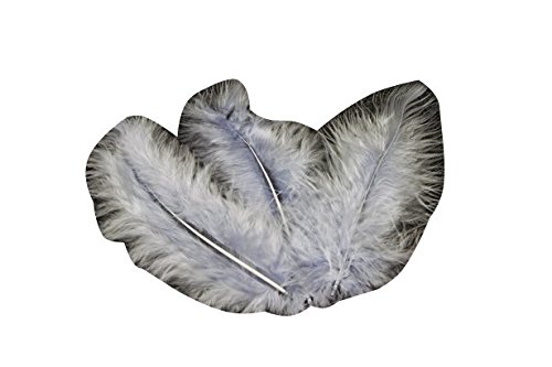 Le Géant de la fête Le géant de la fête - Plume 10 cm ( sachet de 20 ) Le Geant De La Fete code EAN 3660667031099 