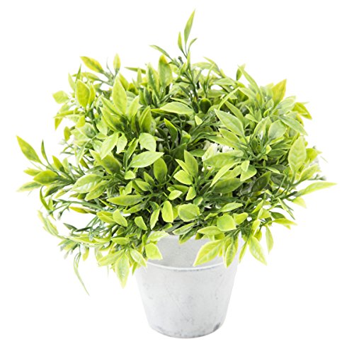 Petite plante artificielle décorative avec pot ...