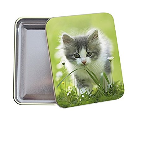 97203e chaton boîte à bons points vert