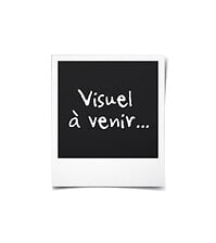 ENERGIZER ENERGIZER Groupe électrogène essence de chantier 5500 W - Technologie A ... code EAN 3661602022561 