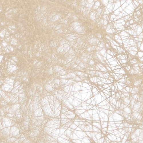 Chaks Costumes et Mariage Chaks C50030013, CHEMIN DE TABLE luxe Romance 30cmx10m, Taupe code EAN 3661652004883 