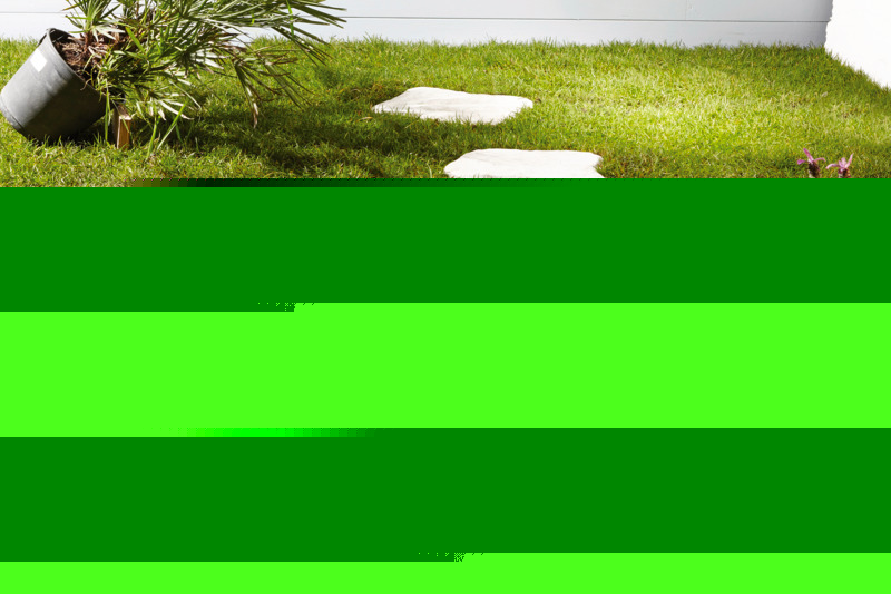  PAS JAPONAIS  code EAN 3661825022621 