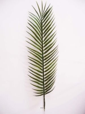 - feuille de palmier cycas h 56 cm plastique po...