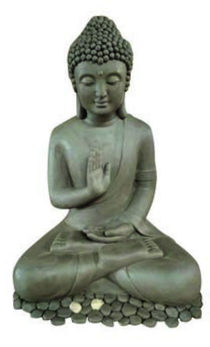  BOUDDHA ASSIS code EAN 3661971032420 