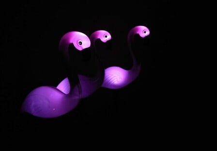 CIDDECO Lumière extérieure solaire - Flament rose