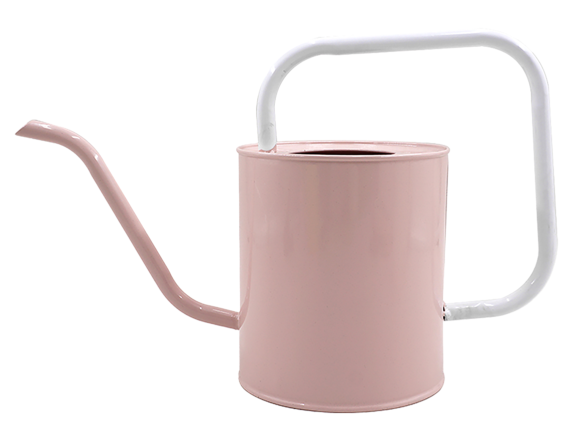  ARROSOIR EN MÉTAL AVEC ANSE code EAN 3661971069709 