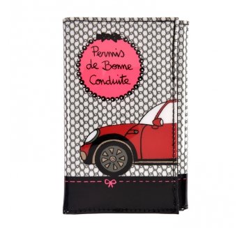 Porte-papiers de voiture 